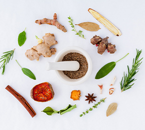 釋放植物力量，實(shí)現(xiàn)植物功能成分風(fēng)味優(yōu)化及多維度功能覆蓋